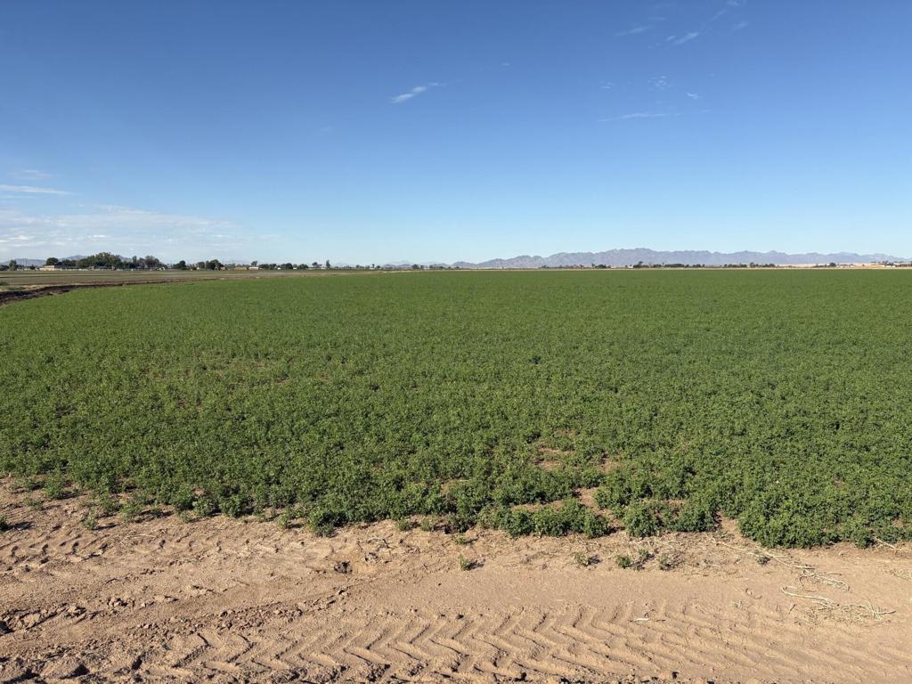 Not Applicable-1 - Land