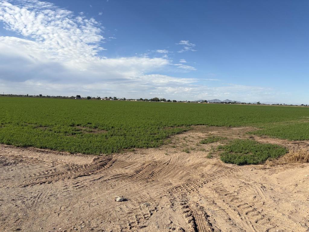 Not Applicable-1 - Land