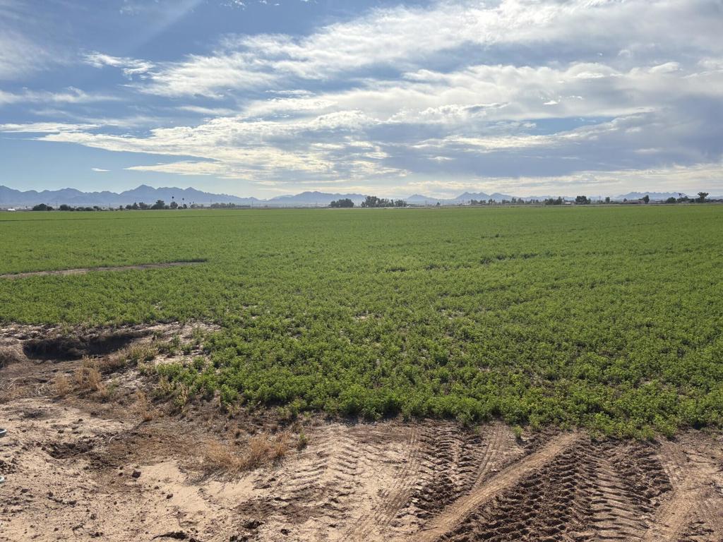 Not Applicable-1 - Land