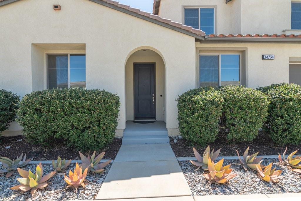34794 Garden Trellis