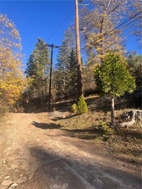 Photo of 29834 Juniper Drive, Cedar Glen, CA 92321 (MLS # IG25266911)