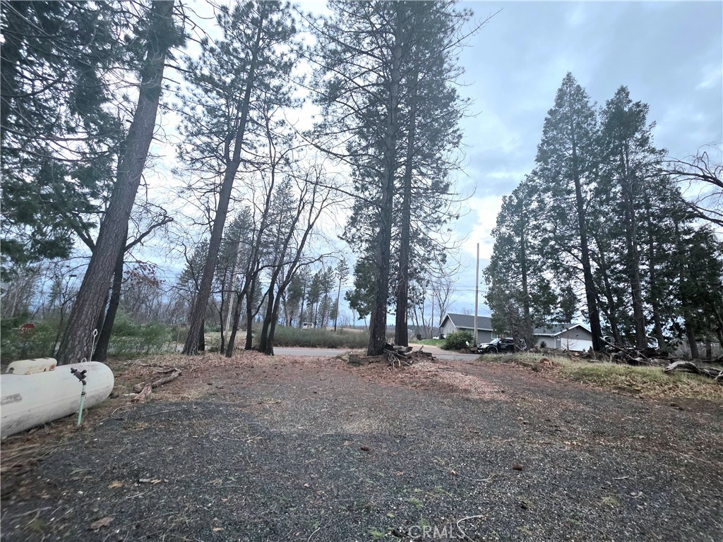 13534 West Park Drive