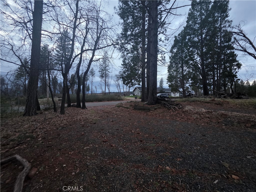 13534 West Park Drive