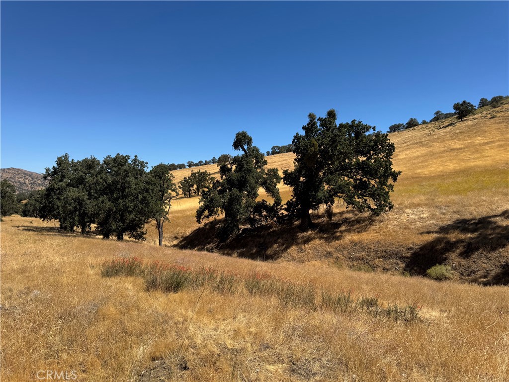 This rare gem is set in the scenic Brite Valley region of Tehachapi. It boasts 21.64-acres while offering a combination of beauty, space, and convenience. Rolling hills covered in grasses are accented by mature oak trees and a meandering seasonal creek, creating a picture-perfect backdrop for your vision. Multiple potential building sites take advantage of sweeping mountain and valley views, while lower meadows provide usable space for recreation or equestrian activities. Electricity is available at the street, with a well and septic system needed. Located just minutes from town, shopping, and schools, this property offers the freedom of wide-open country living without sacrificing everyday convenience.