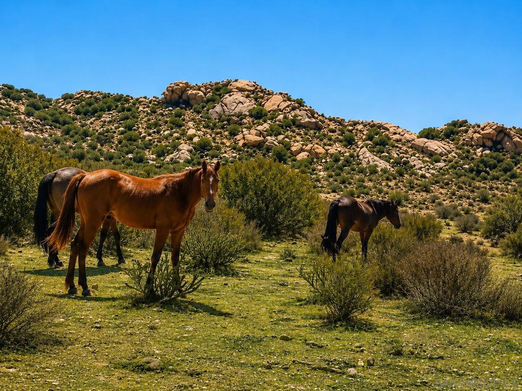 0 Rancho Penasquitos