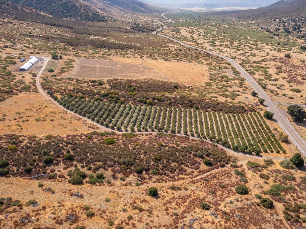 129 .55 +/ Acres San Felipe Road