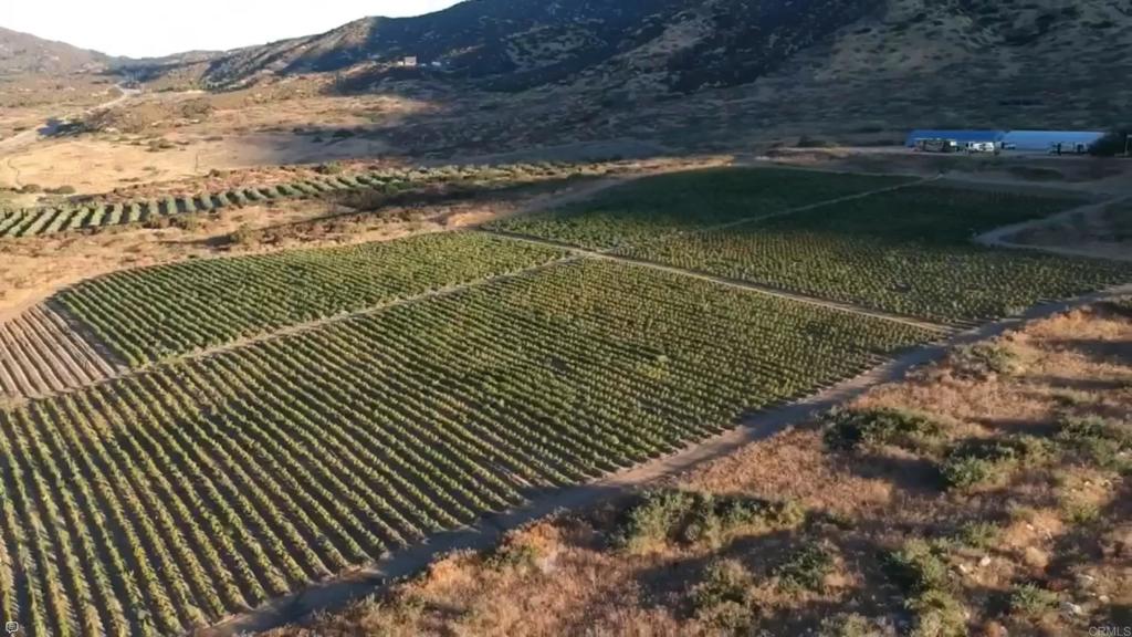 129 .55 +/ Acres San Felipe Road