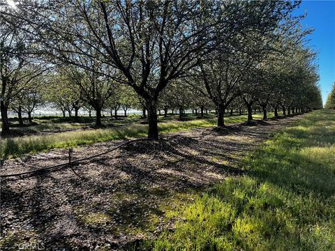 Photo of 24186 Orangewood Road, Corning, CA 96021 (MLS # SN26053365)