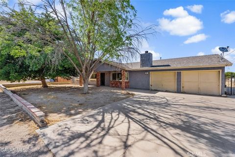 Photo of 10157 E Avenue R8, Littlerock, CA 93543 (MLS # SR26127495)