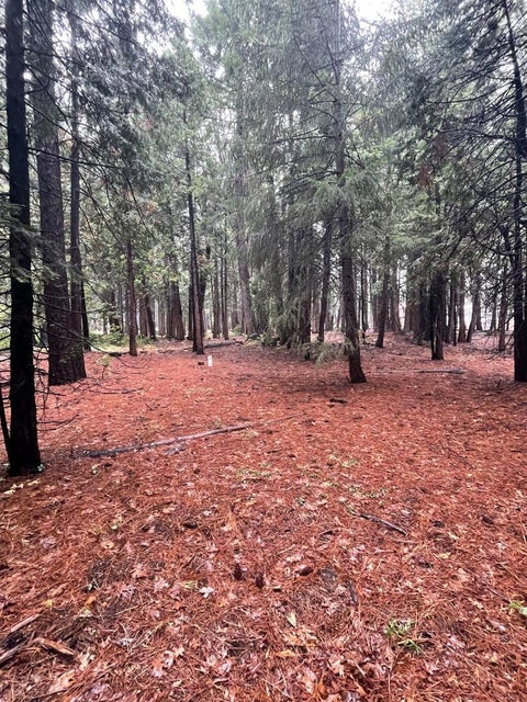 Photo of Alta, CA 95701 (MLS # ML82060176)
