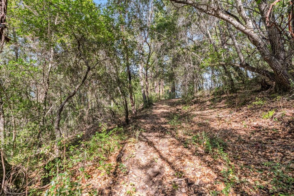 Madrone Avenue