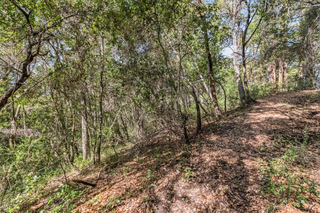 Madrone Avenue