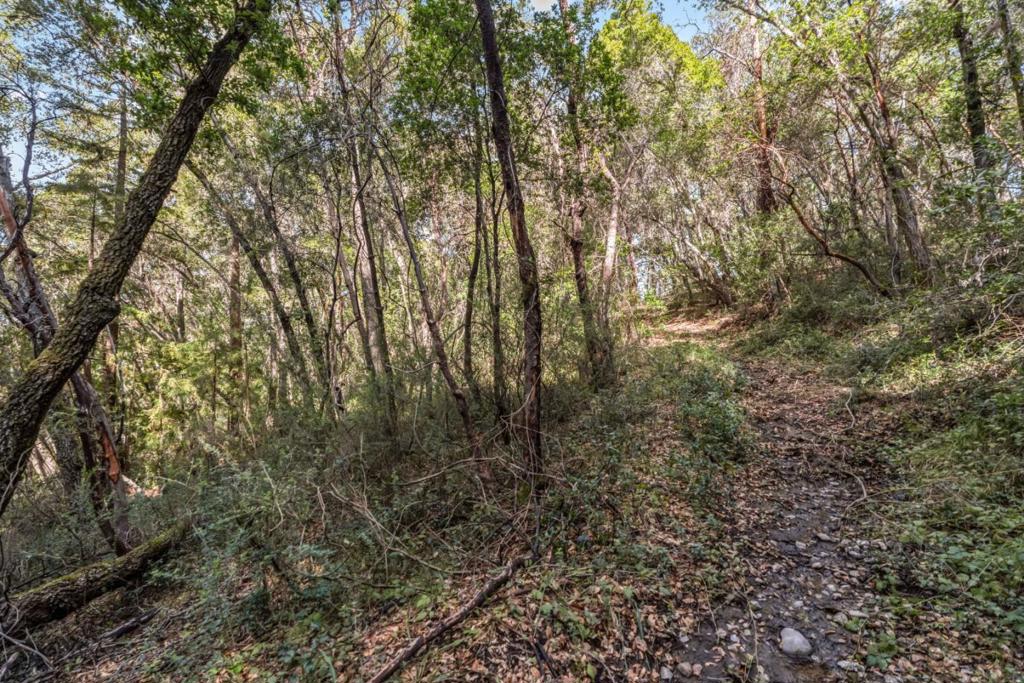 Madrone Avenue