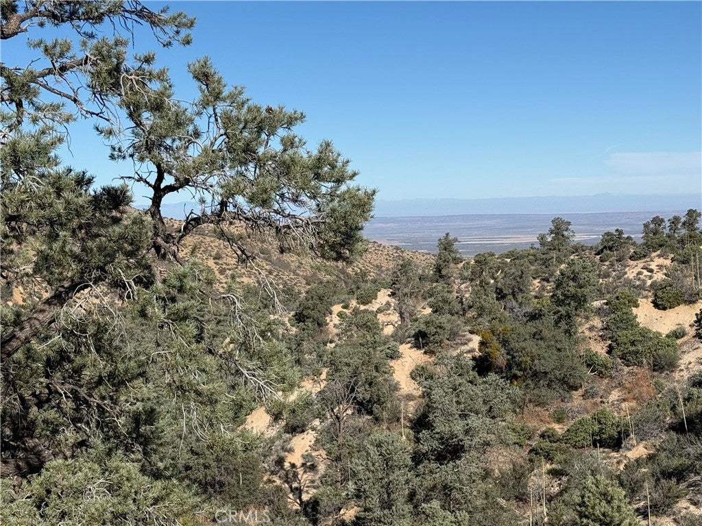 28103 desert front rd