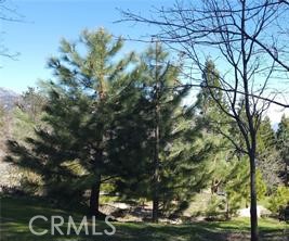 Smiley Park (SMPK) - Land