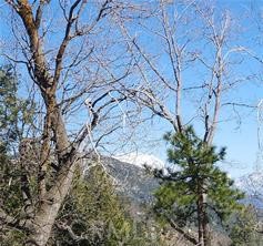 Smiley Park (SMPK) - Land