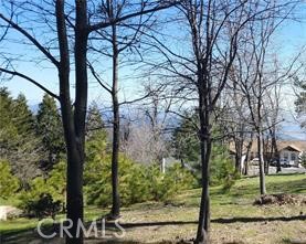 Smiley Park (SMPK) - Land