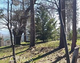 Smiley Park (SMPK) - Land