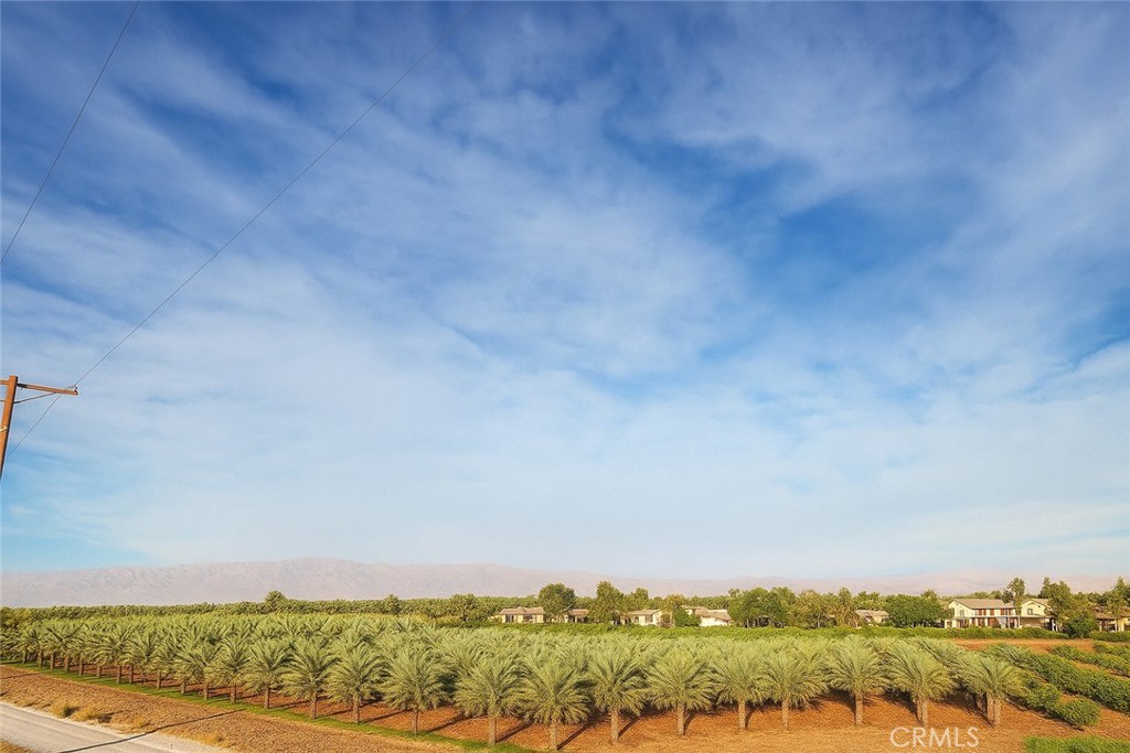 Rare Opportunity – 50% Undivided Interest in 31.17 Acres of Prime Desert Land
Nestled at the base of Torro Canyon, this extraordinary 31.17-acre property offers a unique chance to acquire a 50% undivided ownership interest in highly sought-after agricultural land surrounded by lush date orchards and just minutes from the renowned Desert International Horse Park.
A key feature of this property is its private high-producing water well, a valuable and rare asset in this coveted area. Situated in a thriving resort destination, the parcel is surrounded by world-class country clubs such as Andalusia, PGA West, and Madison Club, and it potentially falls within a designated Opportunity Zone, offering attractive tax benefits for savvy investors.
Imagine developing your own private estate or expanding agricultural operations in this serene, open setting while enjoying close proximity to upscale shopping, fine dining, and premier equestrian facilities—including the esteemed Rancho Polo Equestrian Facility just half a mile away. Ideally positioned near La Quinta’s vibrant scene, renowned music festivals, Polo Grounds, and exclusive luxury communities, this property strikes the perfect balance between tranquility and accessibility.
With breathtaking mountain vistas and endless potential for investment, development, or farming, this 50% undivided interest provides a rare opportunity to gain shared ownership in one of the region’s most rapidly growing areas, where new homes, subdivisions, and high-end developments are continually emerging.