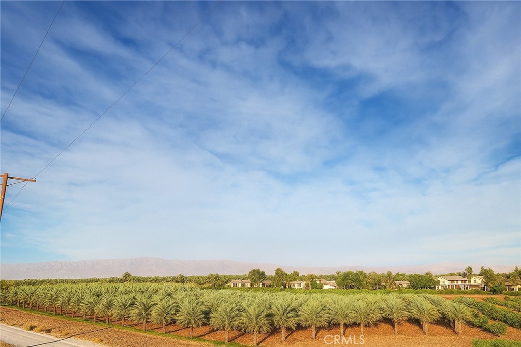 Vista Santa Rosa (31601) - Land