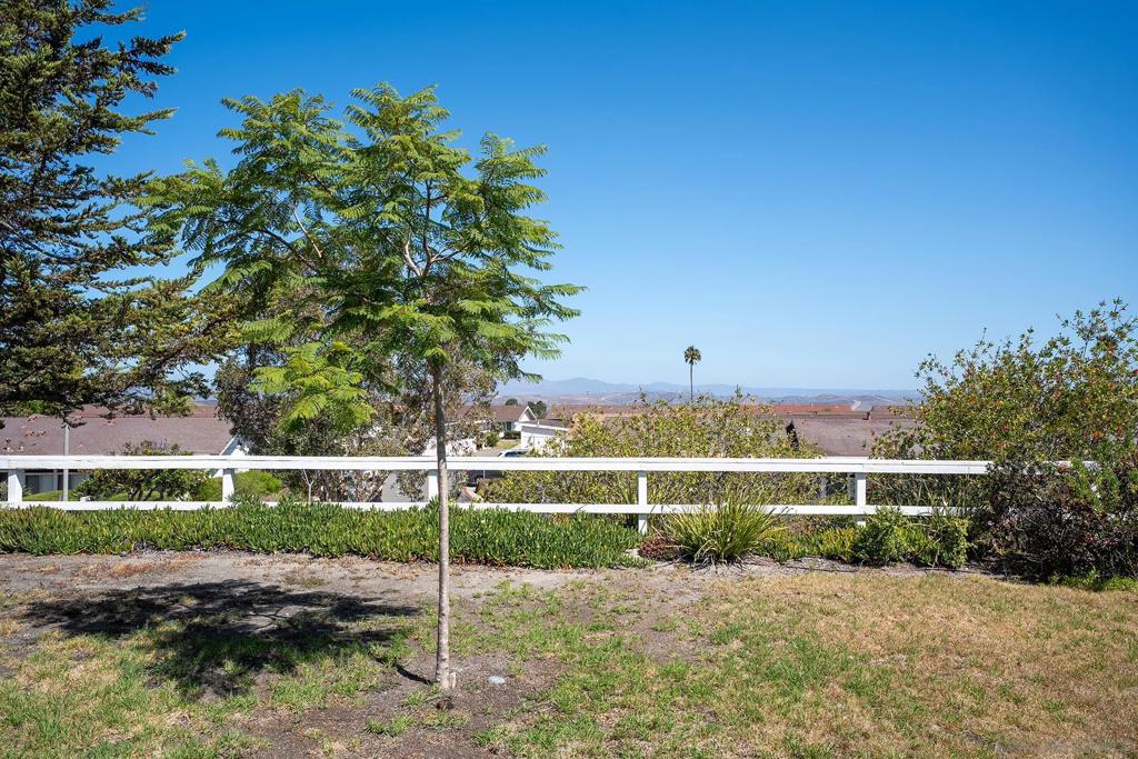 3685 Vista Campana N 5