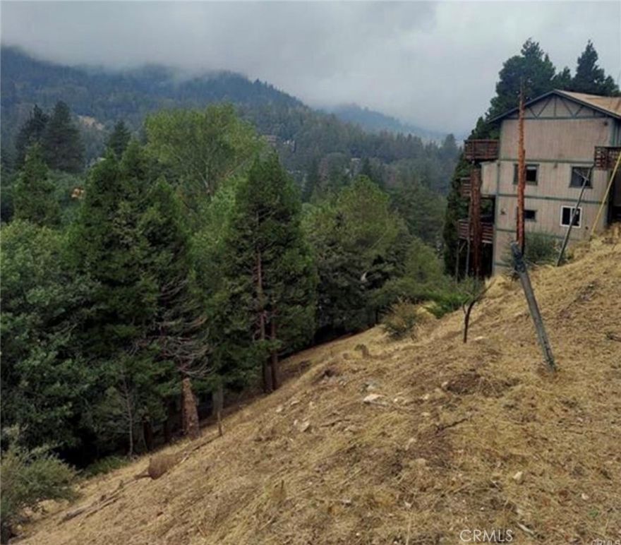 Rare Opportunity in the Sought-After San Moritz Area! Dreaming of building your own mountain getaway? This is your chance! Nestled in the highly desirable San Moritz neighborhood, this street-to-street downslope lot offers breathtaking panoramic views and the perfect setting for your future cabin retreat. Located just minutes from Lake Gregory, you'll enjoy quick access to boating, fishing, hiking, shopping, dining, and year-round recreation. Whether you're planning a full-time residence or a weekend escape, this lot offers the ultimate blend of convenience and natural beauty. Utilities are available, and the setting is unbeatable. Land in this area doesn’t come up often—and when it does, it goes fast. Don’t miss your chance to own a piece of paradise in one of the mountain’s most coveted neighborhoods. Build your dream. Live the lifestyle. This lot won't wait.