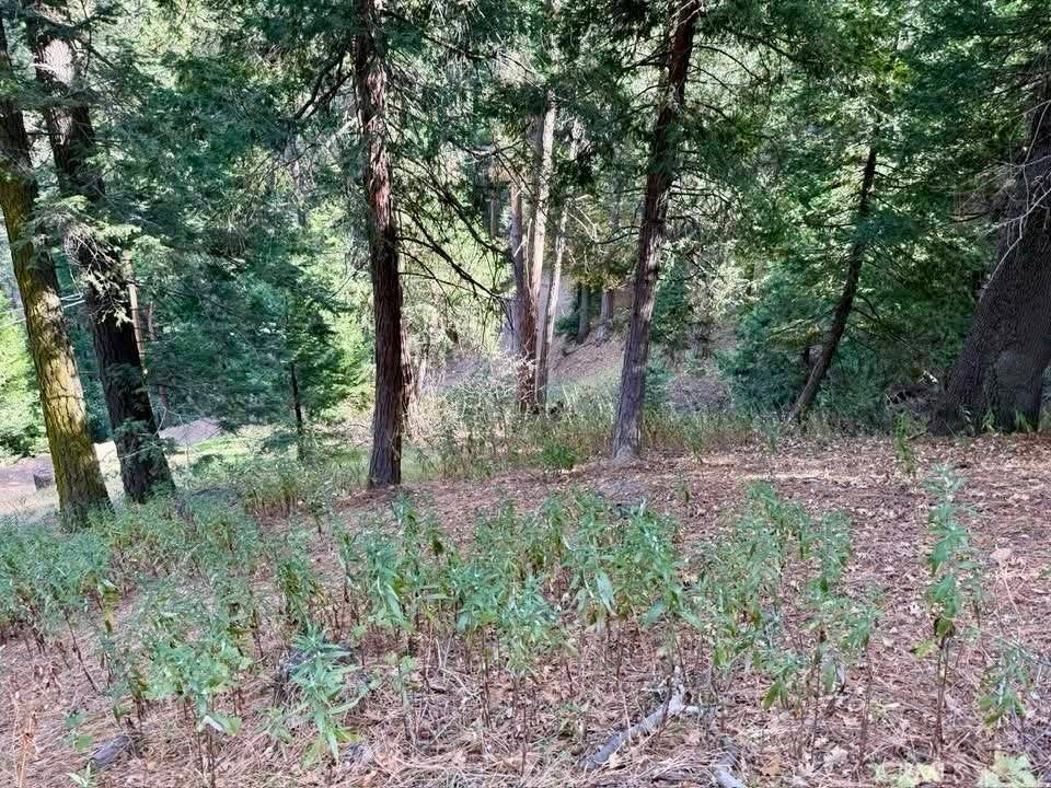 0 Burnt Mill Canyon Road