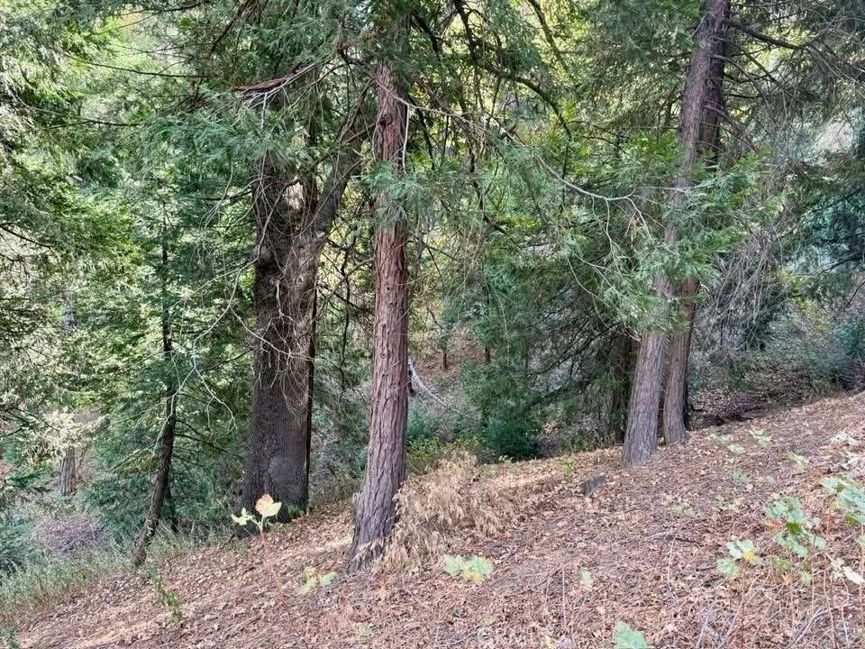0 Burnt Mill Canyon Road