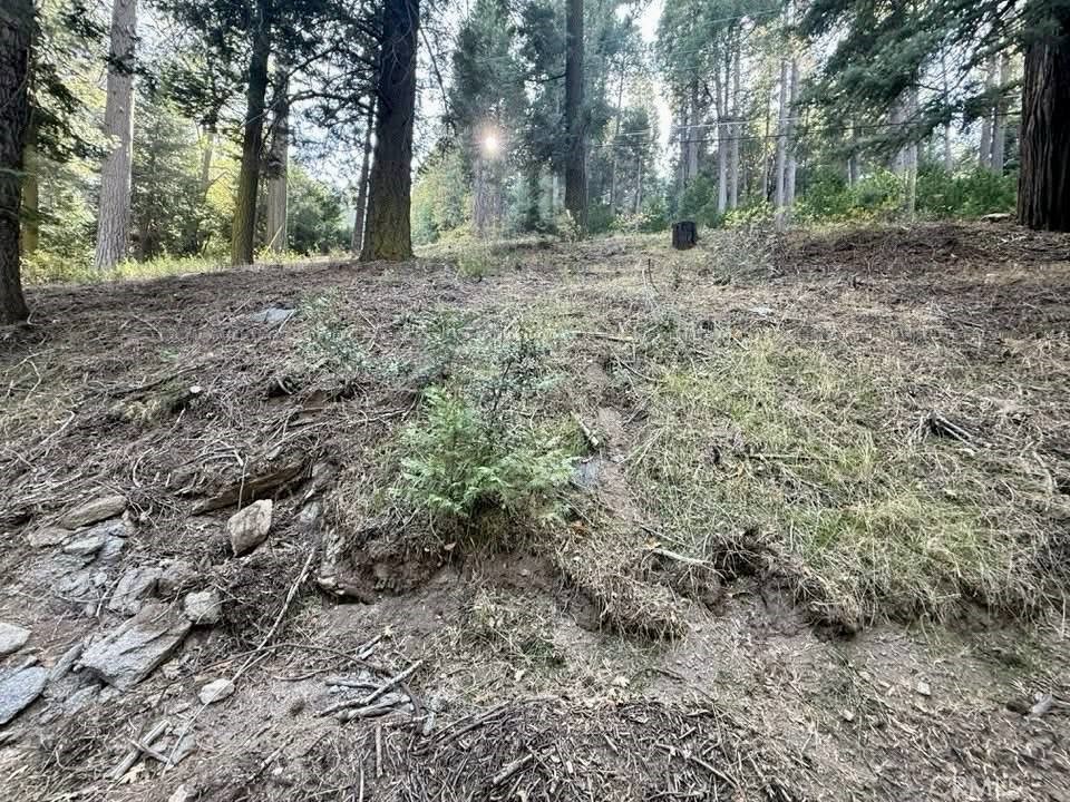 0 Burnt Mill Canyon Road