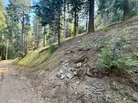 Photo of 0 Burnt Mill Canyon Road, Cedarpines Park, CA 92322 (MLS # HD25031791)