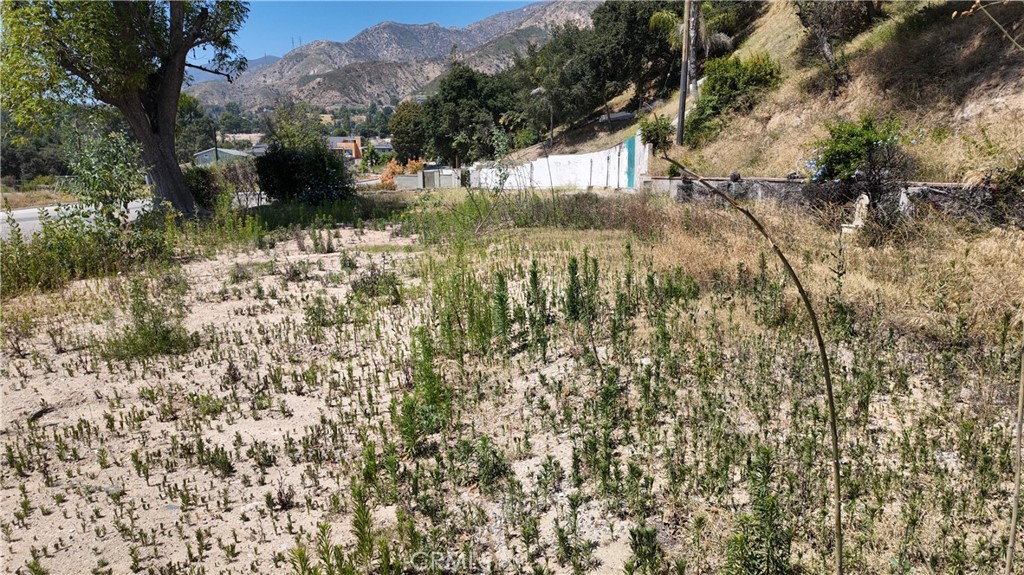 1369 E Loma Alta