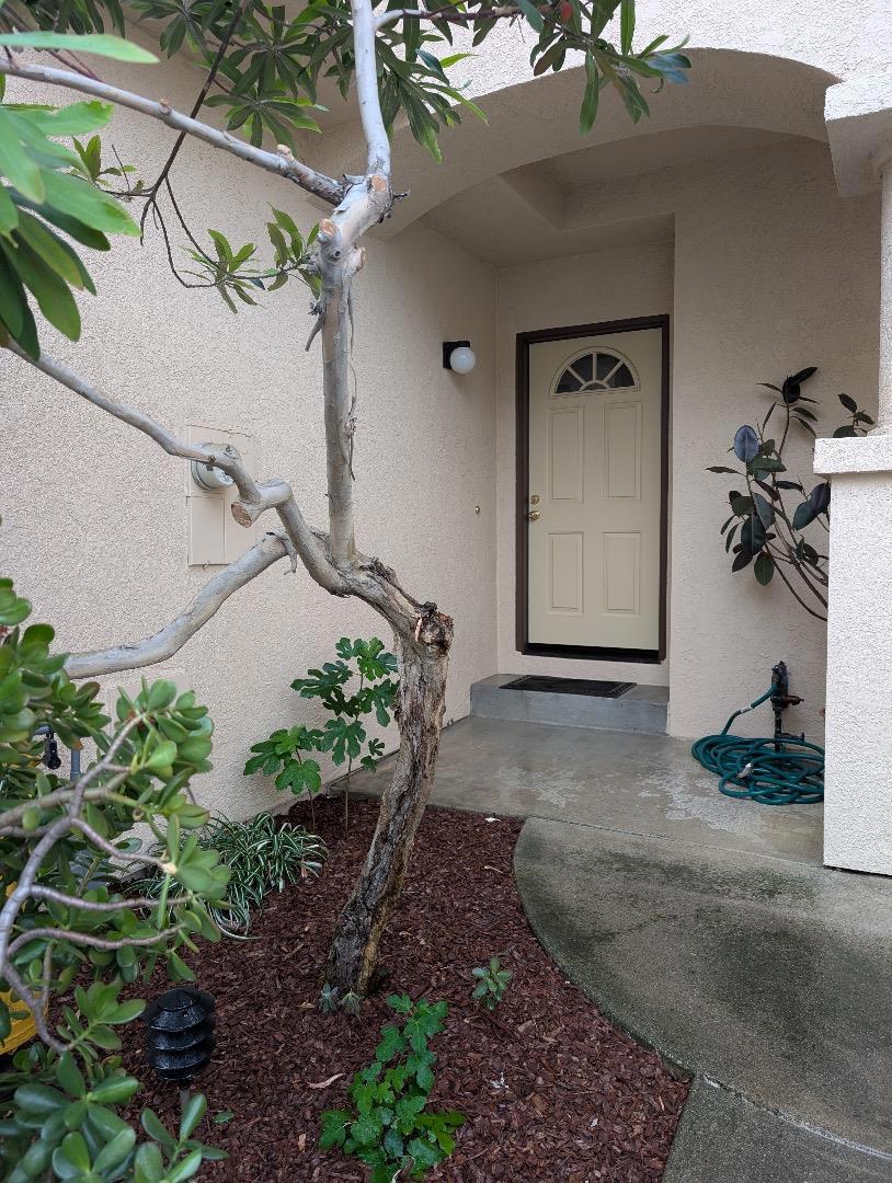 62 Washington Square Drive