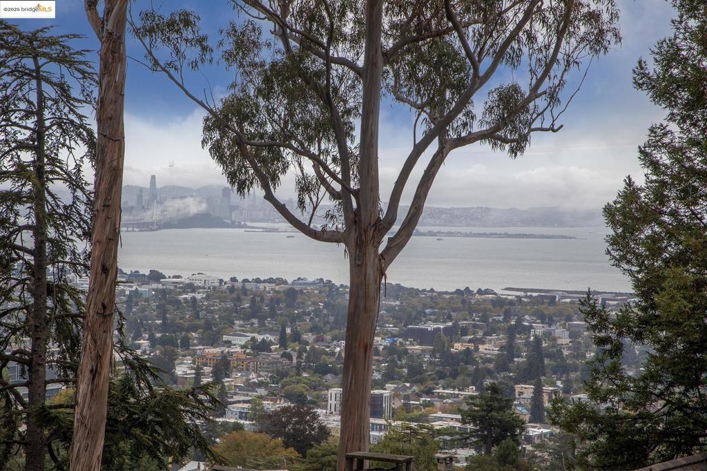 BERKELEY HILLS - Residential