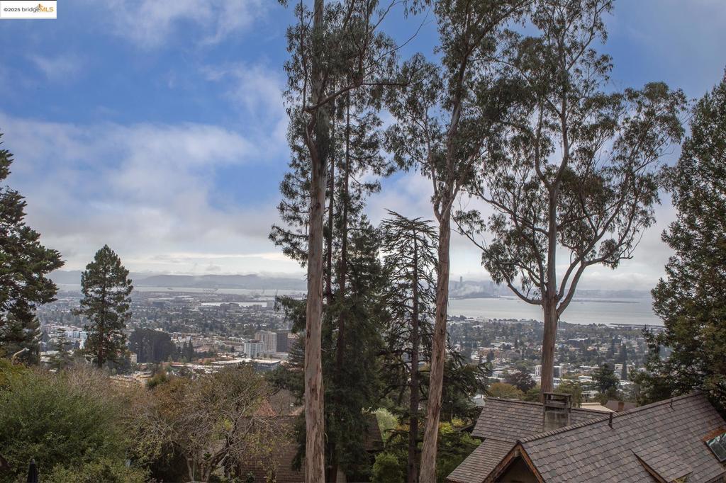 BERKELEY HILLS - Residential