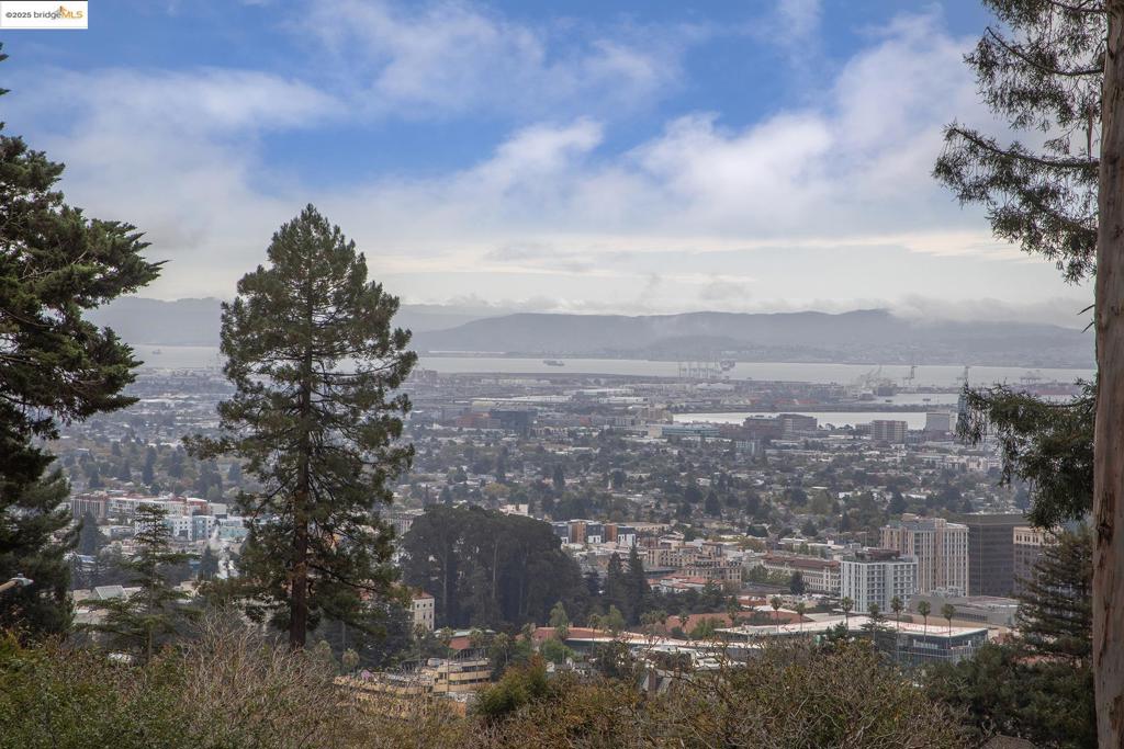 BERKELEY HILLS - Residential
