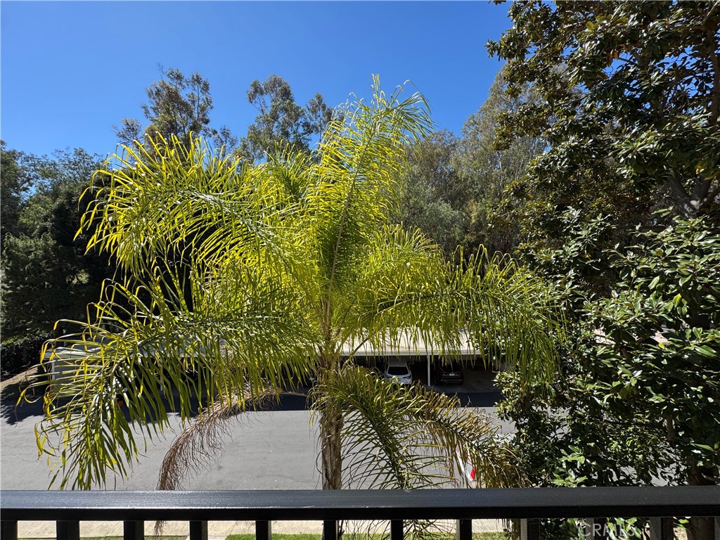 4002 Calle Sonora 3F