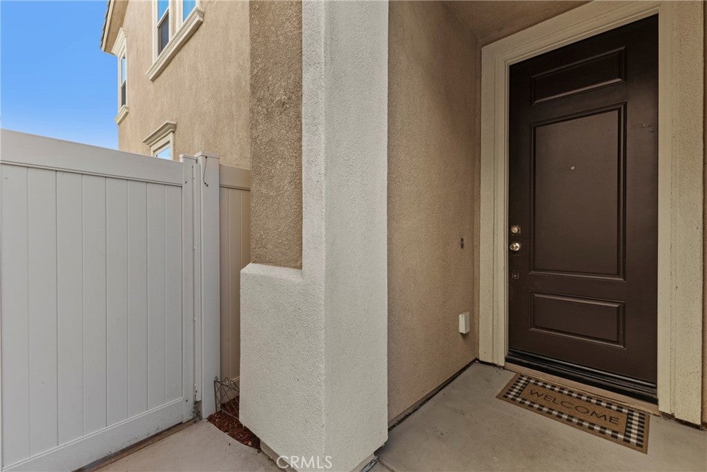 24174 Carnation