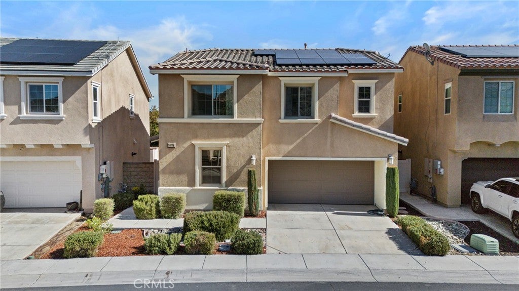 24174 Carnation