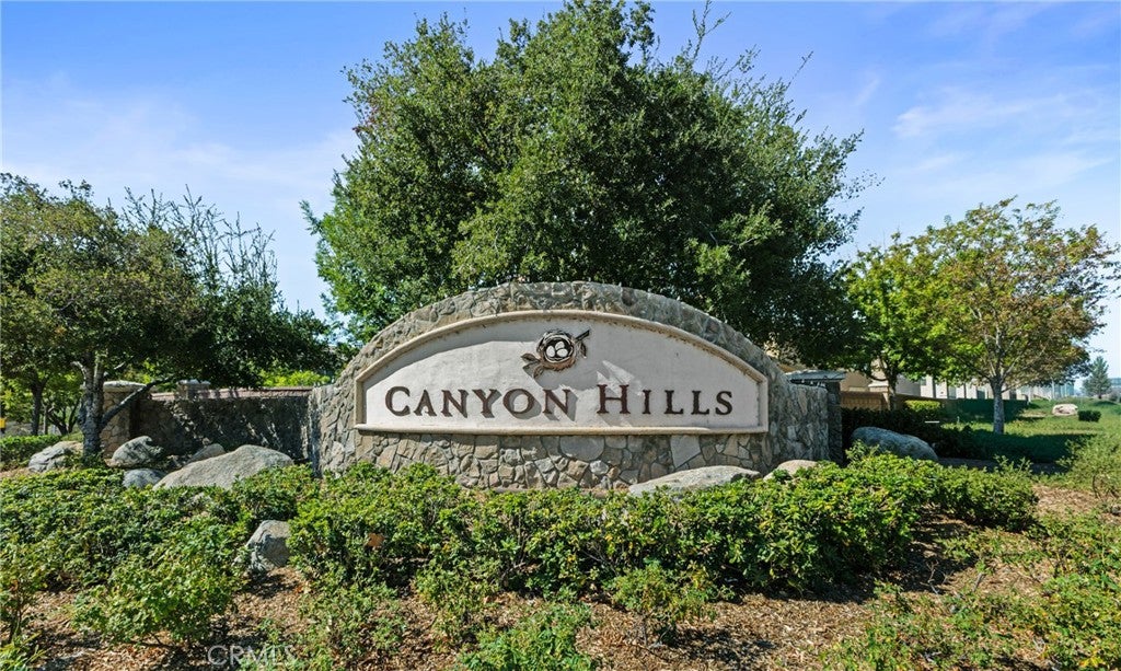 24174 Carnation