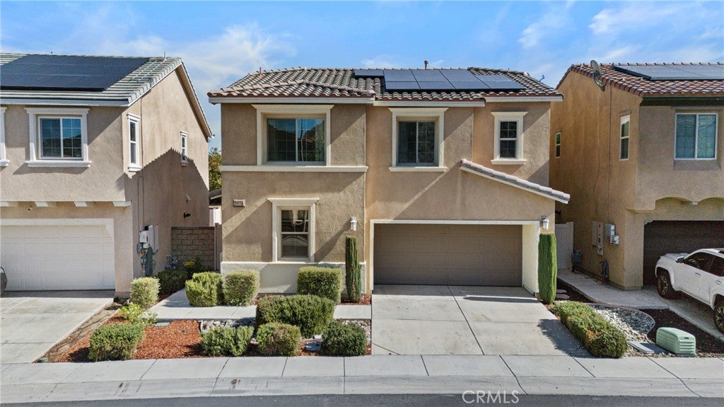24174 Carnation