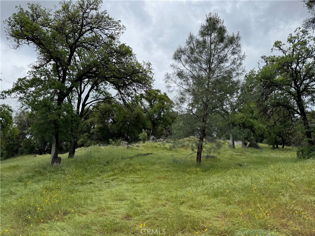 9 Acres of Rolling Hills with Abundant Water – Build Your Dream Near Yosemite
Discover the perfect blend of natural beauty and potential on this 9-acre parcel of rolling hills, located just an hour outside of Yosemite National Park. This scenic property offers breathtaking views, open space, and a robust well—providing exceptional water output ideal for a variety of uses.
Whether you're envisioning a private retreat, a custom-built home, or even a boutique vineyard, this land delivers the resources and setting to bring your vision to life.
Property Highlights:
9 acres of gently rolling terrain with expansive views
Strong-producing well, ideal for agricultural use or vineyard potential
Peaceful and private setting with room to roam
Excellent opportunity to build a dream home or weekend getaway
Located just 1 hour from Yosemite National Park
This is a rare opportunity to own land in one of California’s most desirable and picturesque regions. Enjoy proximity to outdoor adventures while crafting a lifestyle rooted in beauty, tranquility, and possibility.