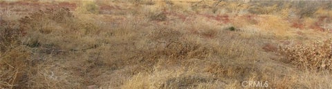 Photo of 0 043-330-01-07-5 Twisselman Road, Lost Hills, CA 93249 (MLS # IG26150023)
