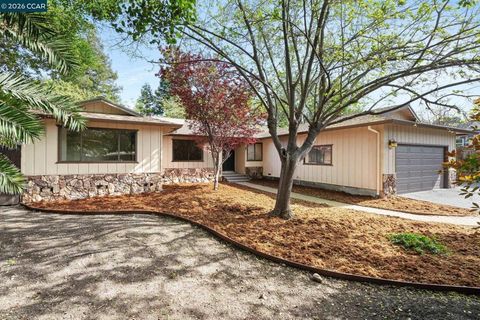 Photo of 1167 Kaski Ln Ln, Concord, CA 94518 (MLS # 41127579)