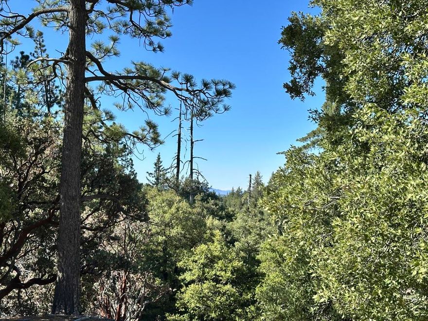 Nestled at the very end of Mountain View, these three contiguous lots offer a rare opportunity to own 3.17 acres of pristine mountain land in Idyllwild. The property is a true nature lover's retreat, featuring dramatic rock outcroppings, a diverse mix of mature trees, and seasonal creeks that meander through the landscape. Privacy is paramount here, with sweeping views and abundant wildlife roaming the area, creating a peaceful sanctuary away from the bustle of town. Water and power are conveniently located at the corner of Lot 023, making future development seamless. Just a quick 10-minute drive brings you to the center of Idyllwild, where you'll find charming shops, dining, and community events. Whether you're looking to build your dream cabin, invest in a mountain getaway, or simply enjoy the tranquility of nature, these lots offer endless potential in one of Idyllwild's most desirable locations.