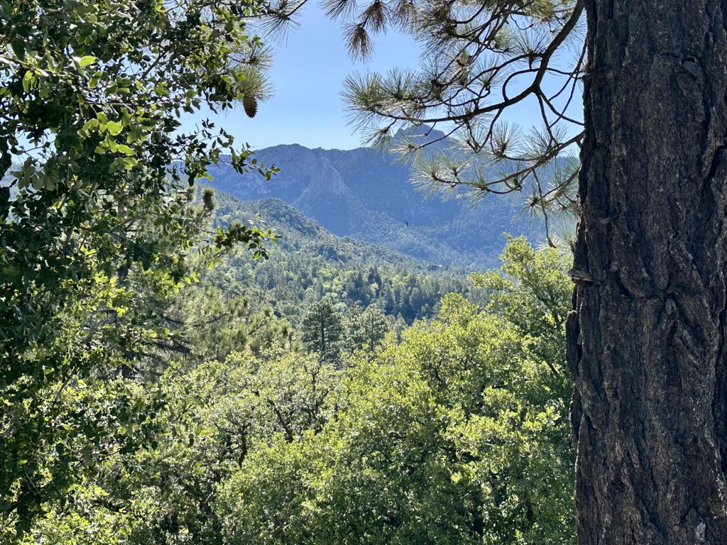 Not Applicable-1 - Land