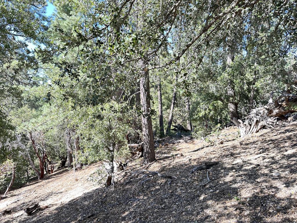 Not Applicable-1 - Land