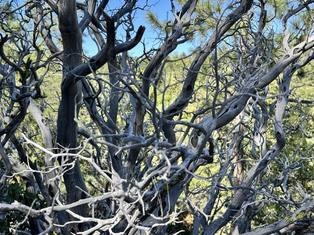 Not Applicable-1 - Land