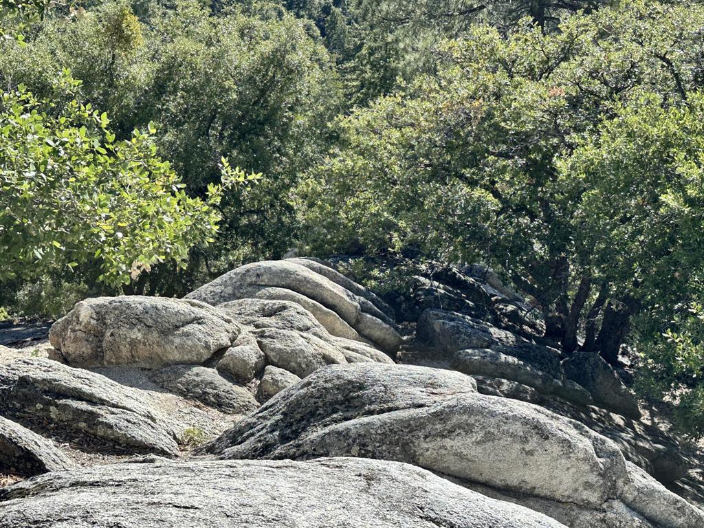 Not Applicable-1 - Land