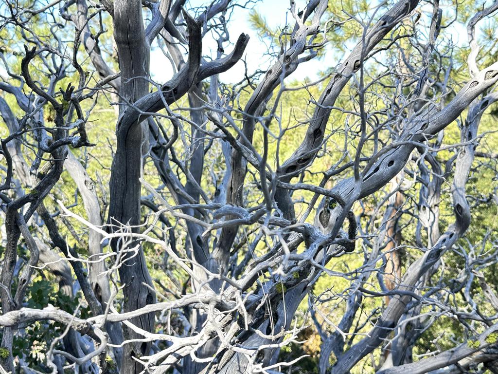 Not Applicable-1 - Land