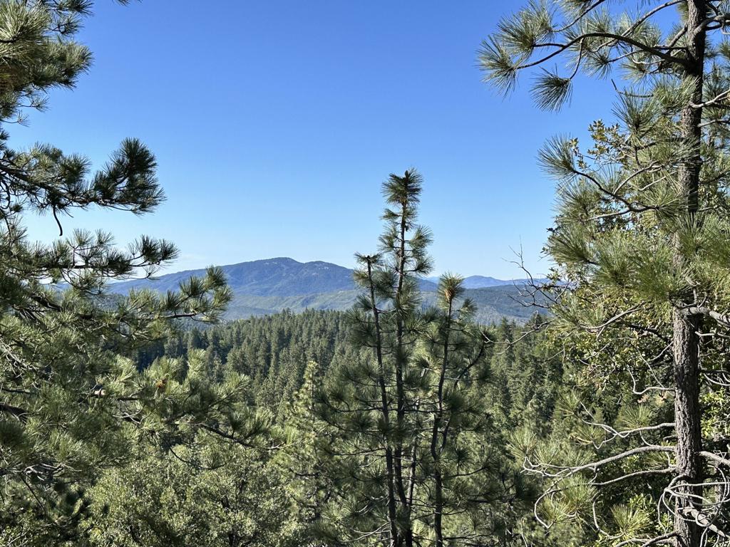 Not Applicable-1 - Land